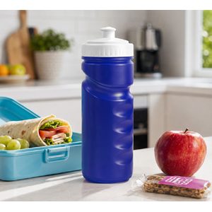 500ml Visiline Water Bottle