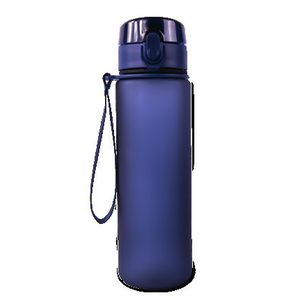600ml Frosted Cylinder Water Bottle