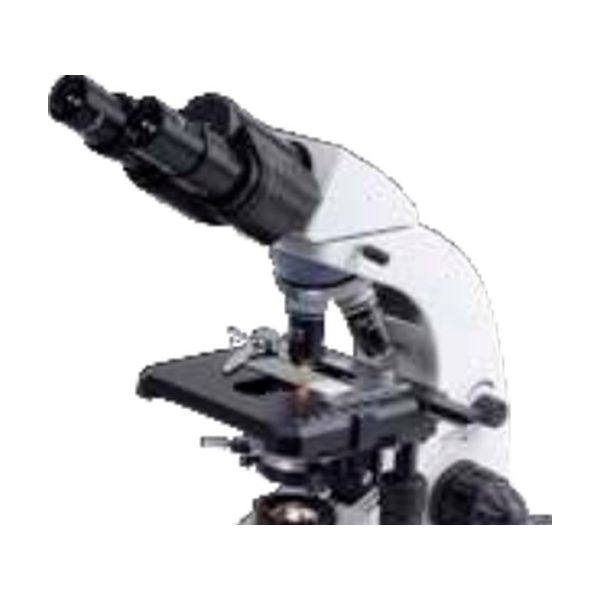 Microscope